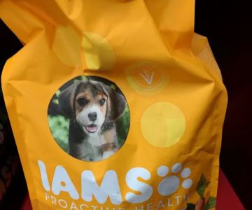 Vetco Vaccination Clinic