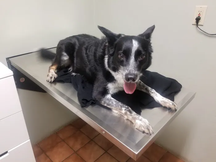 Portland Animal Clinic 3