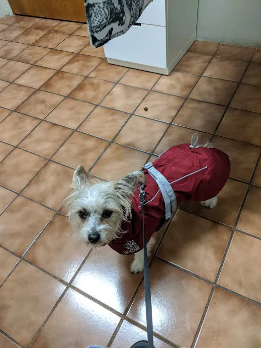 Portland Animal Clinic 5