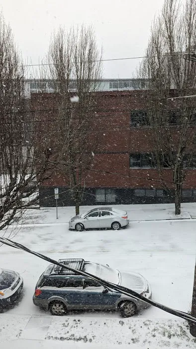 Portland Animal Clinic 6