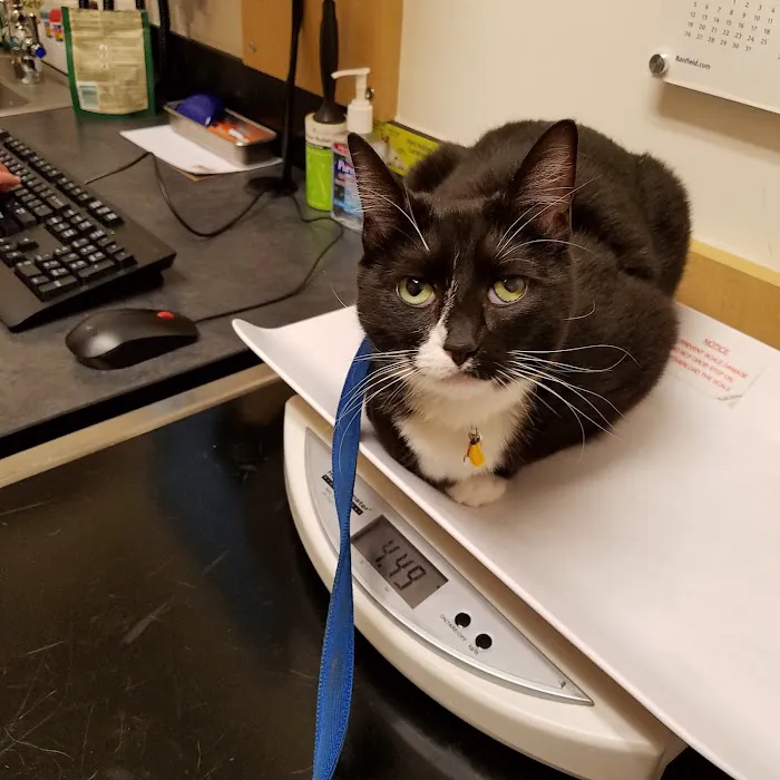 Banfield Pet Hospital 2