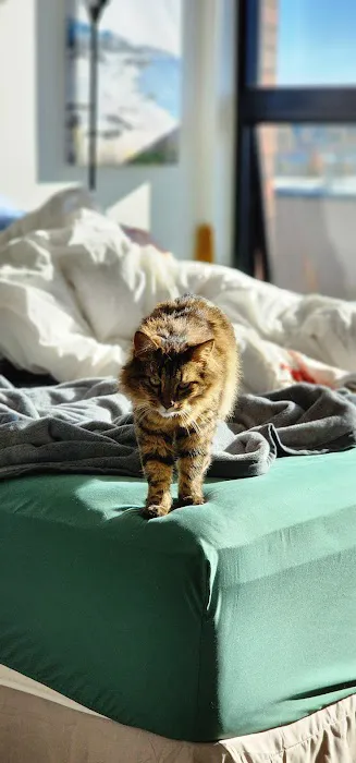Banfield Pet Hospital 6