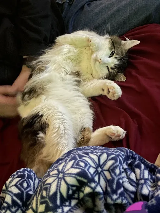 Banfield Pet Hospital 7