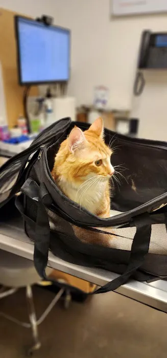 Banfield Pet Hospital 10