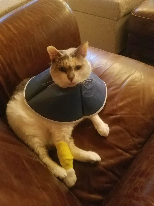 Banfield Pet Hospital 8