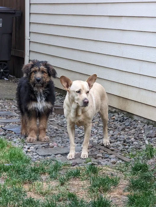 North Beaverton Pet Hospital 2