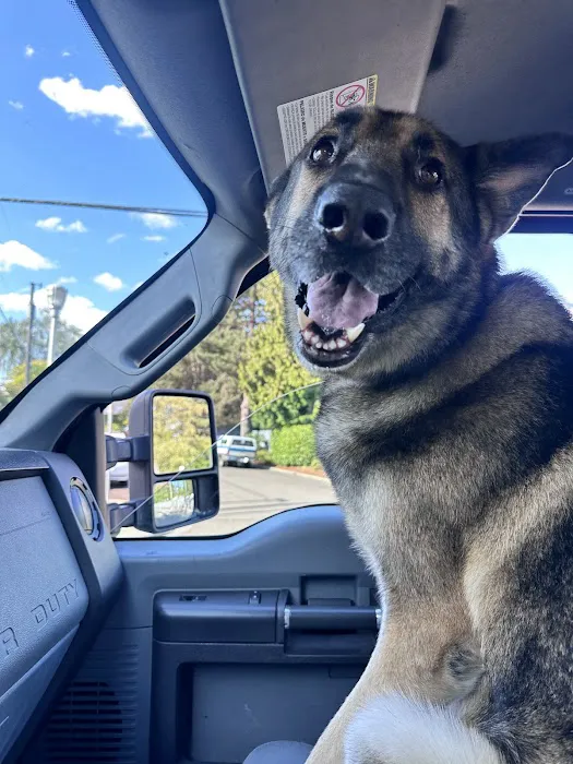 North Beaverton Pet Hospital 7