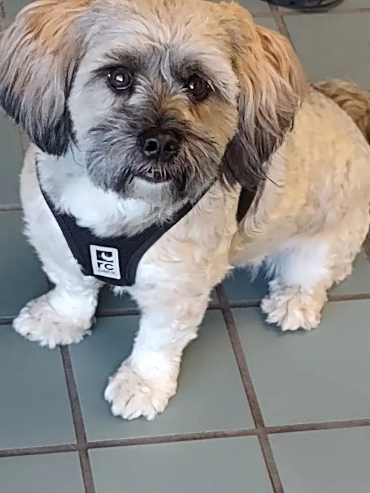 North Beaverton Pet Hospital 5