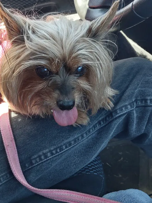 North Beaverton Pet Hospital 9