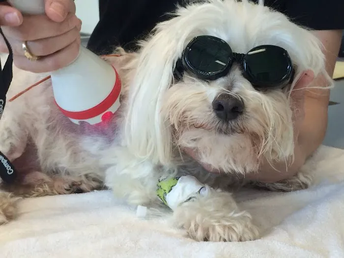 Viking Veterinary Care 5