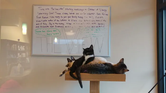 Viking Veterinary Care 9