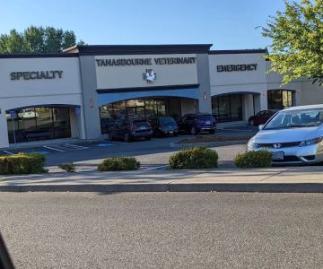 Tanasbourne Veterinary Emergency