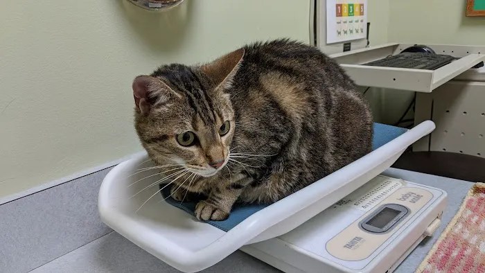Cornell Center Animal Hospital 3