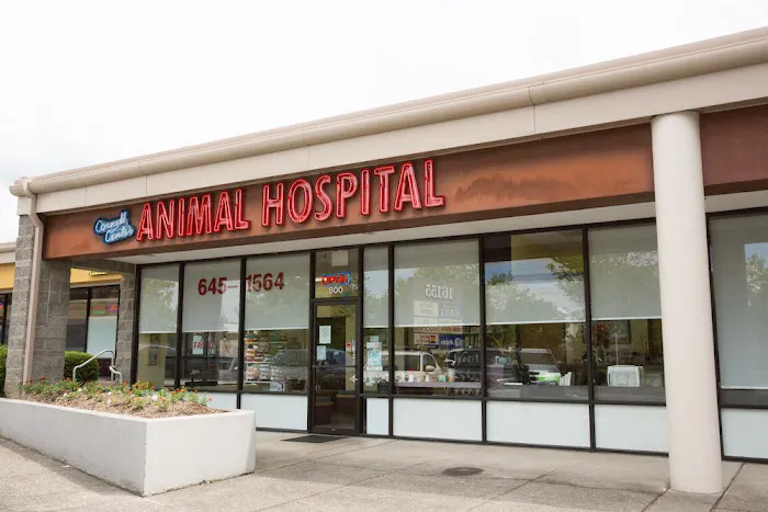 Cornell Center Animal Hospital 1