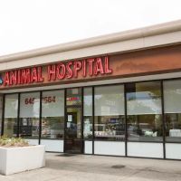 Cornell Center Animal Hospital ico