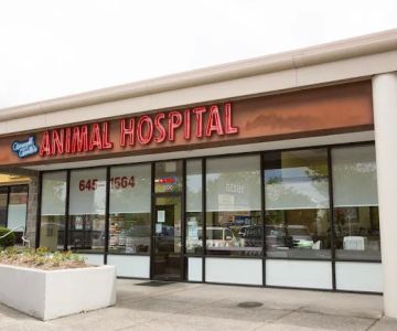 Cornell Center Animal Hospital