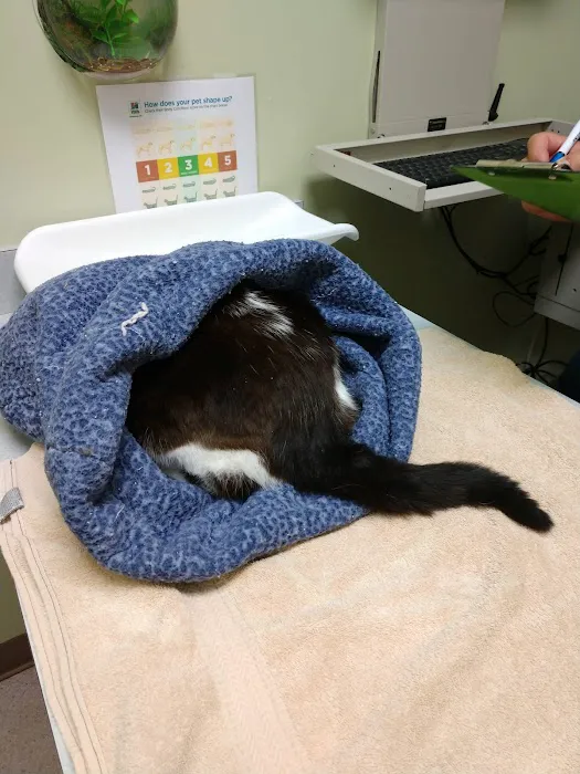 Cornell Center Animal Hospital 8