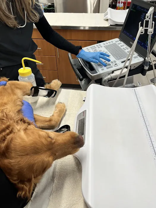 Veterinary Emergency Group 5