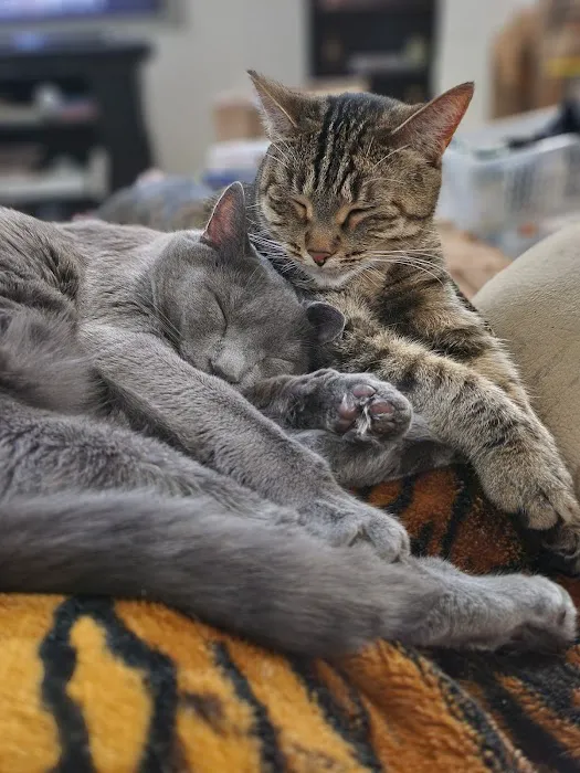 Vetco Total Care Animal Hospital 6