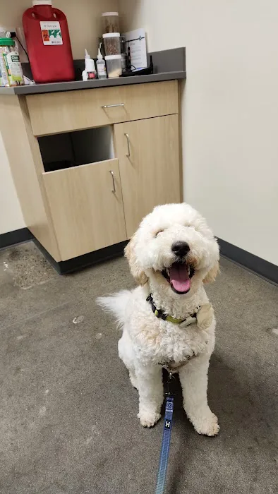 Vetco Total Care Animal Hospital 7
