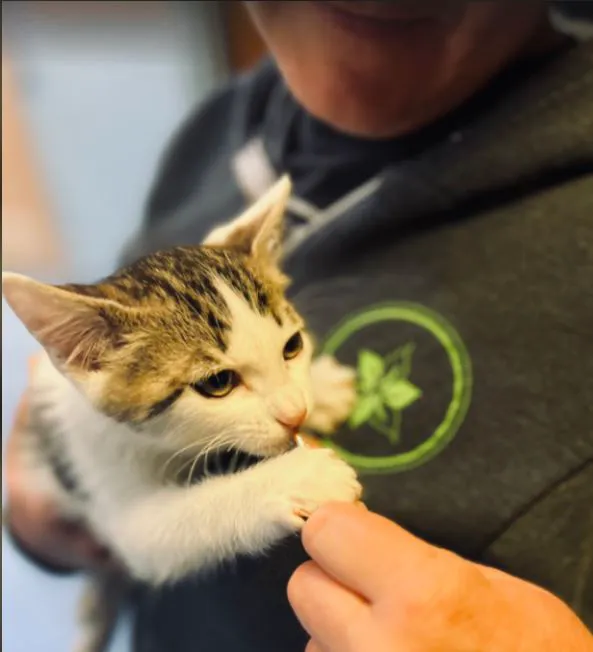 Mt. Tabor Veterinary Care 12