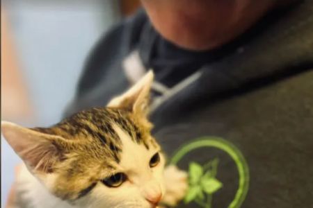 Mt. Tabor Veterinary Care