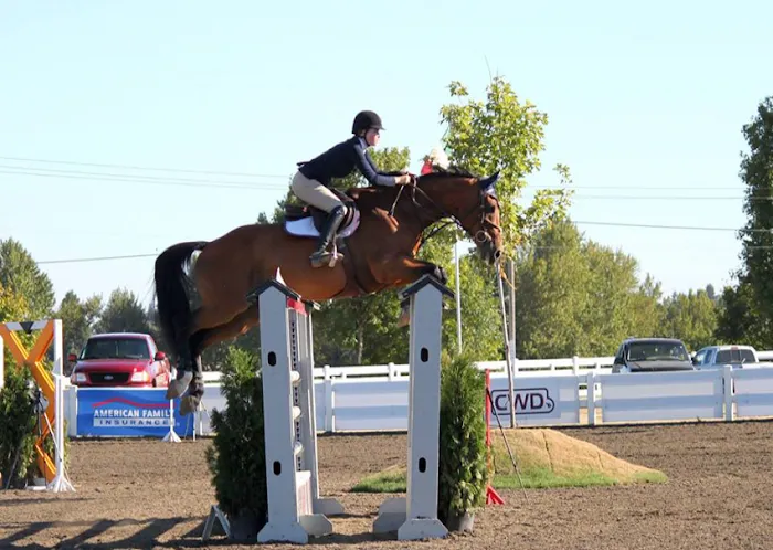 Countryside Equine Veterinary Service 12