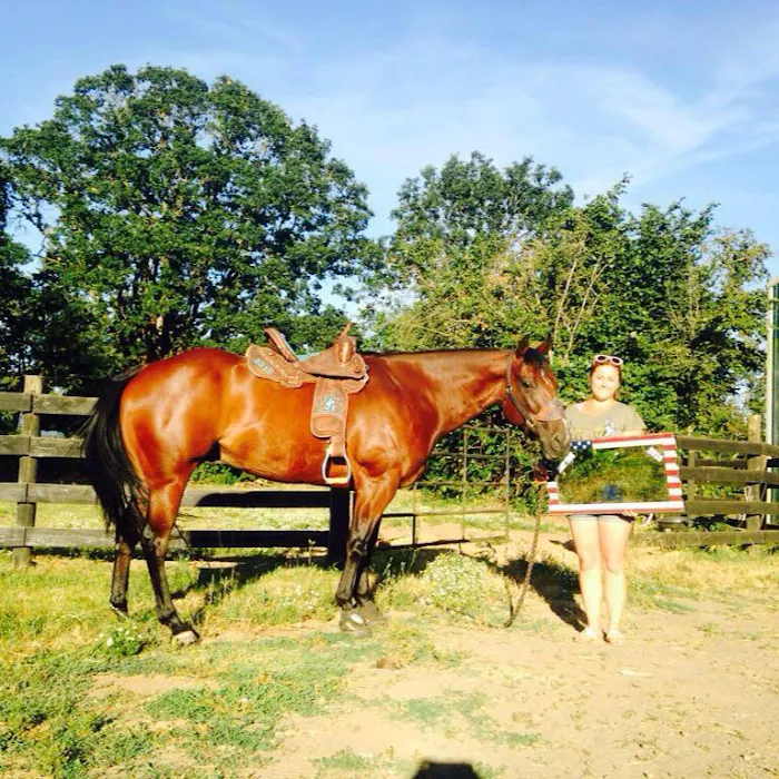 Countryside Equine Veterinary Service 12