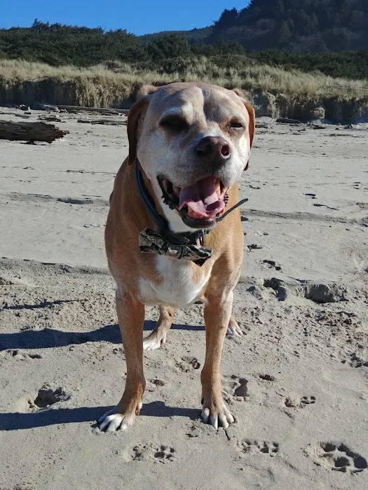 Best Friends Eternal, Home Pet Euthanasia Services 12
