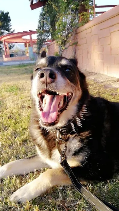 Best Friends Eternal, Home Pet Euthanasia Services 12