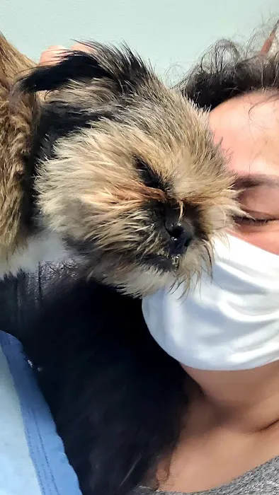 North County Animal Hospital 1