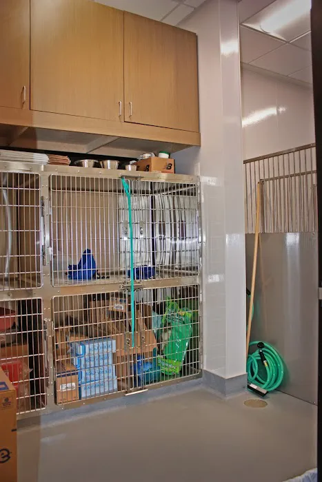 Royle Veterinary Clinic 12
