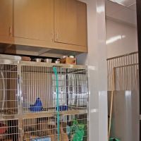 Royle Veterinary Clinic ico