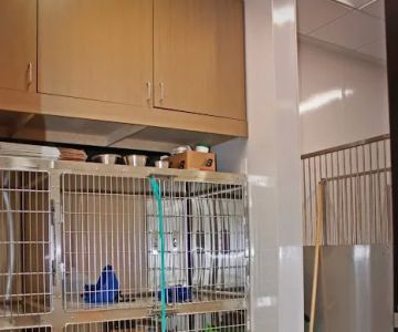 Royle Veterinary Clinic