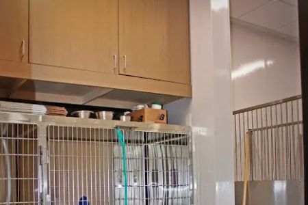Royle Veterinary Clinic
