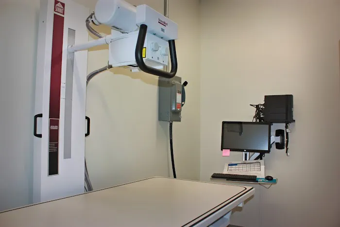 Royle Veterinary Clinic 12