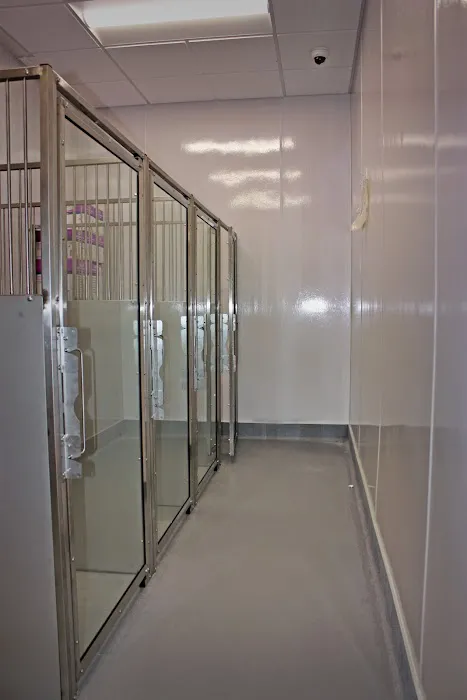 Royle Veterinary Clinic 12