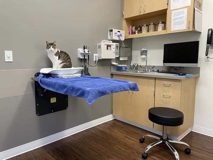 VCA Battle Ground Animal Hospital 12