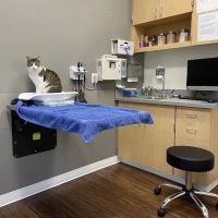 VCA Battle Ground Animal Hospital ico