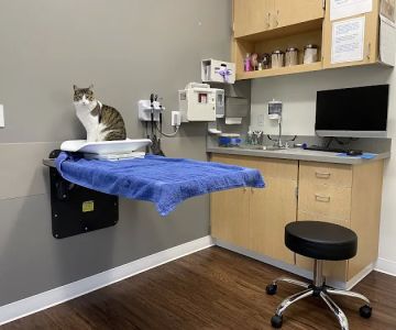 VCA Battle Ground Animal Hospital
