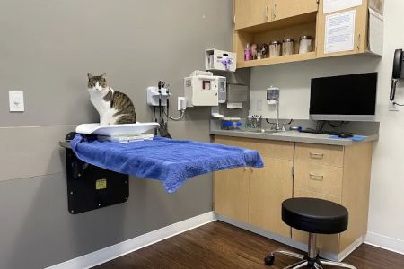 VCA Battle Ground Animal Hospital