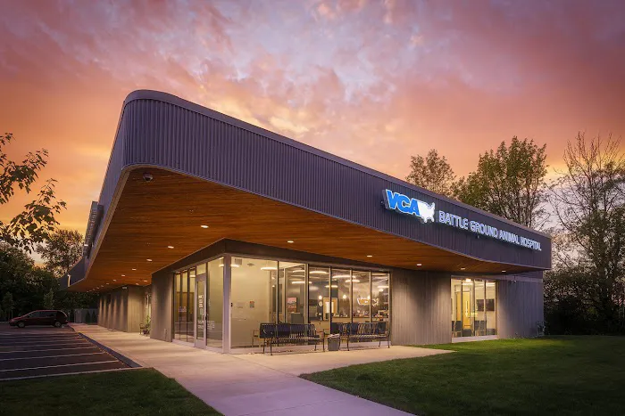 VCA Battle Ground Animal Hospital 12