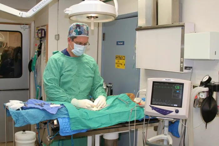 VCA Battle Ground Animal Hospital 12