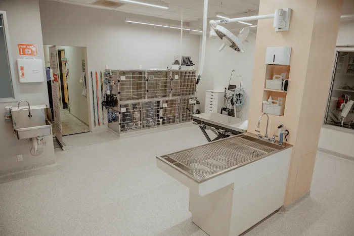 Vancouver Pet Urgent Care 12