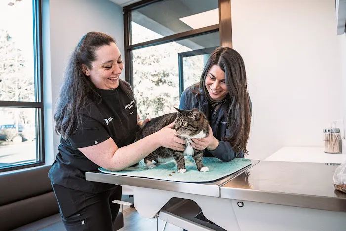Vancouver Pet Urgent Care 12