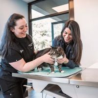 Vancouver Pet Urgent Care ico