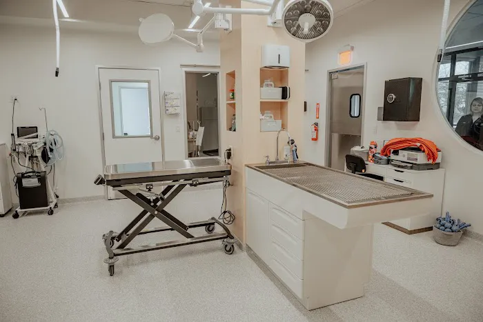 Vancouver Pet Urgent Care 12