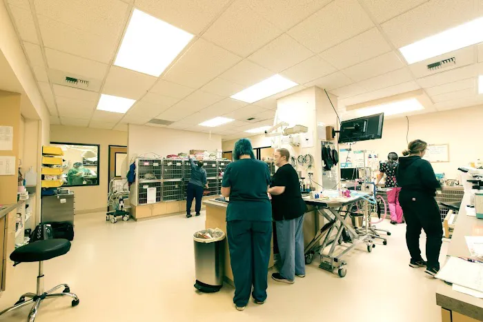 Cascade Park Animal Hospital 12