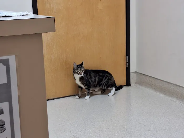 Cascade Park Animal Hospital 12