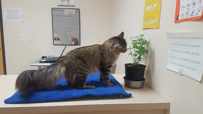 Cascade Park Animal Hospital 12